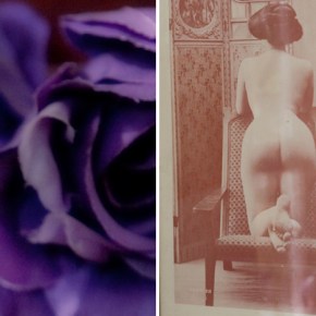 Arnona Rosa Smith&nbsp;Weiler