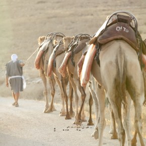 Nicholas’ Bar Mitzvah part 1 הבר מצווה של ניקולס חלק&nbsp;ראשון
