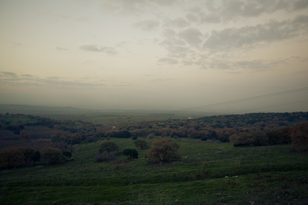 YAEL ILAN / Pelter 119