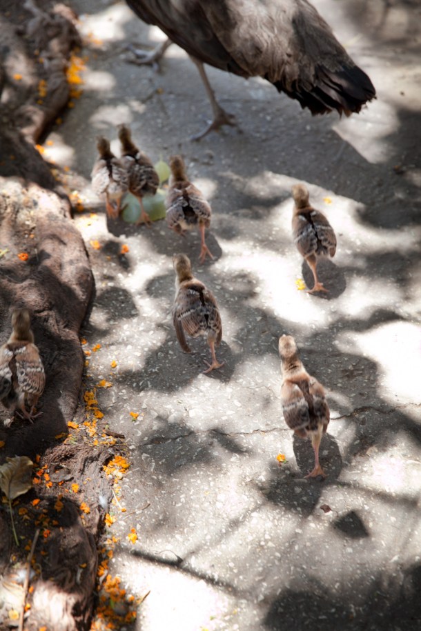 A breath of sanity  / Photo by: Yael Ilan