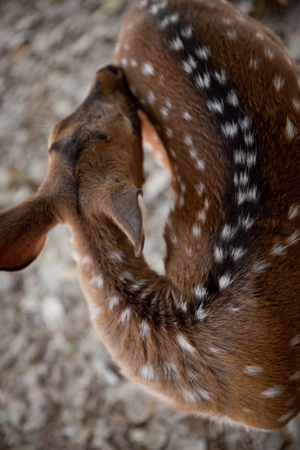 A breath of sanity  / Photo by: Yael Ilan