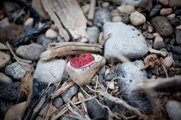 A breath of sanity  / Photo by: Yael Ilan