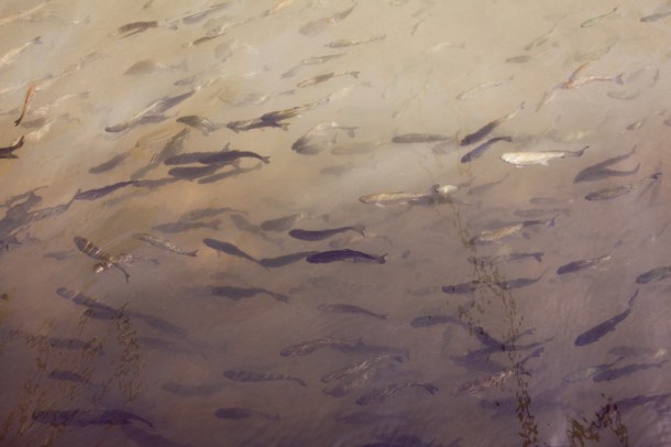 A breath of sanity  / Photo by: Yael Ilan