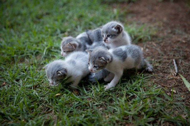 A breath of sanity  / Photo by: Yael Ilan