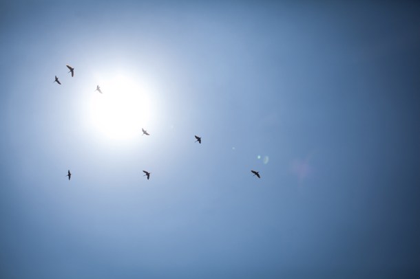 A breath of sanity  / Photo by: Yael Ilan