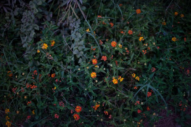 A breath of sanity  / Photo by: Yael Ilan