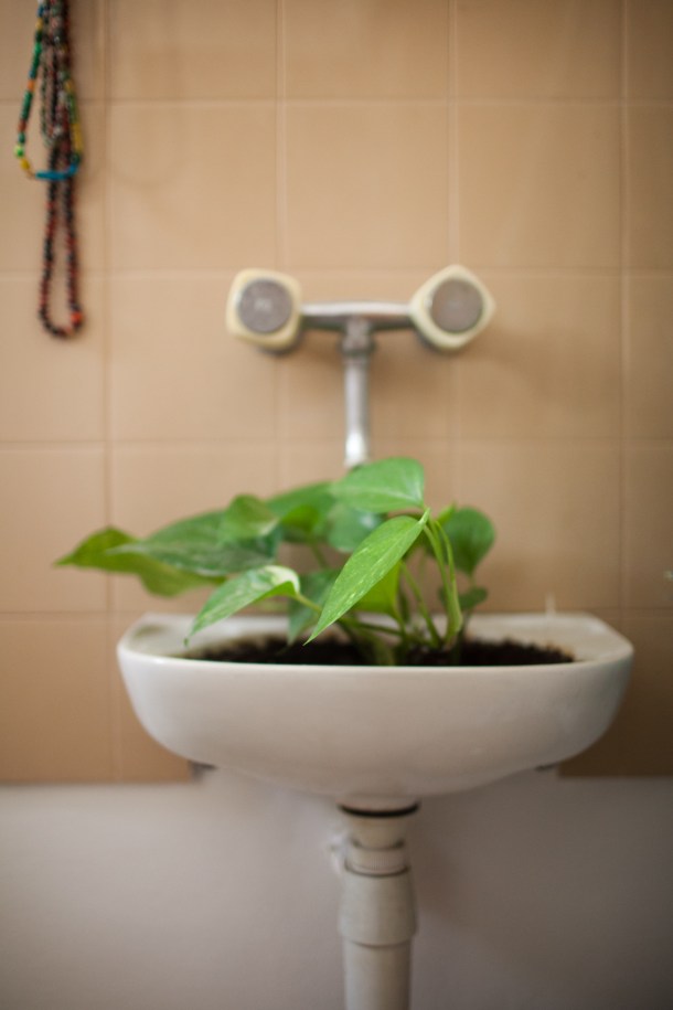 A breath of sanity  / Photo by: Yael Ilan