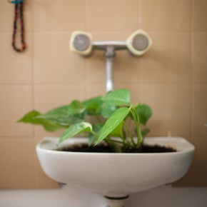 כשהתותחים רועמים המוזות נלחמות על&nbsp;השפיות