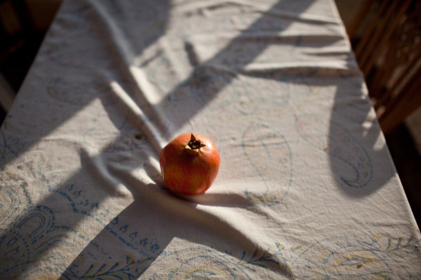 A breath of sanity  / Photo by: Yael Ilan