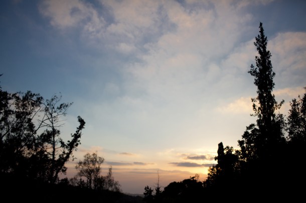 A breath of sanity  / Photo by: Yael Ilan