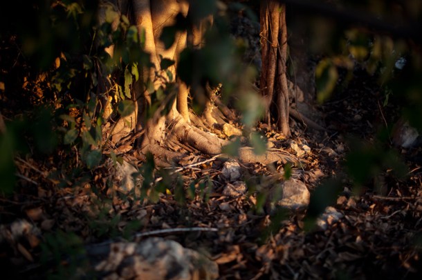 A breath of sanity  / Photo by: Yael Ilan