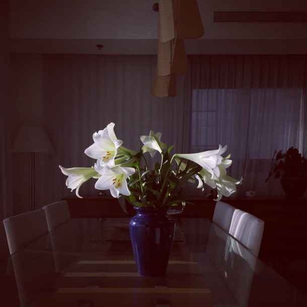 2015-05-31 18.03.47-1