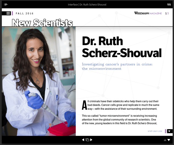 screen-shot-2016-10-17-at-7-31-42-pm