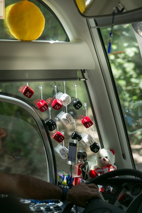 294A6632_אברמיק2017