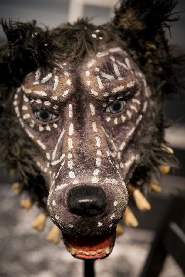 294A6353_בדמי_ימיה