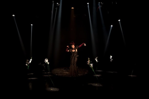 294A7609_נפוליאון_